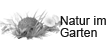 Natur im Garten