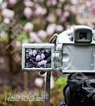 Bewerb für Photographen